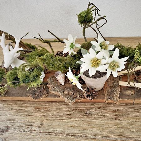 شقة Edelweiss اوبرستوفن المظهر الخارجي الصورة
